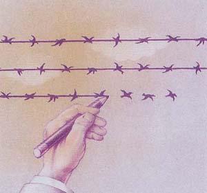 Self-explanatory Shots