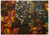 Heather Westfall