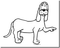 Cachorro 24
