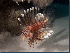 IMG_0125 IMG_0125