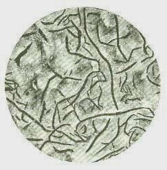 [clip_image0013.jpg]