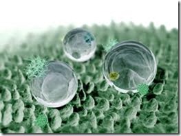 nanobumps nanobumps