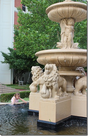 IMG_1477 IMG_1477