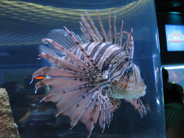 [IMG_18282.jpg]