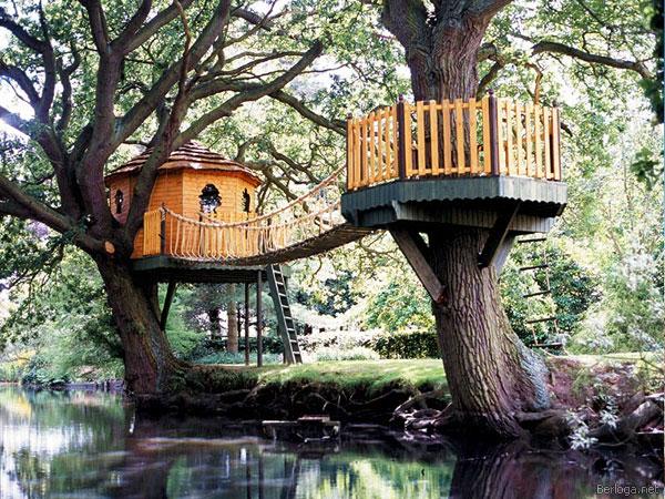 Amazing Tree Houses