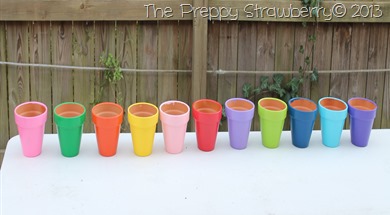 Girl Scout Bridging Ideas {The Preppy Strawberry} http://thingamajigetc.blogspot.com/ Girl Scout Bridging Ideas {The Preppy Strawberry} http://thingamajigetc.blogspot.com/