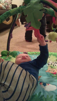 Charlie can reach the butterflies
