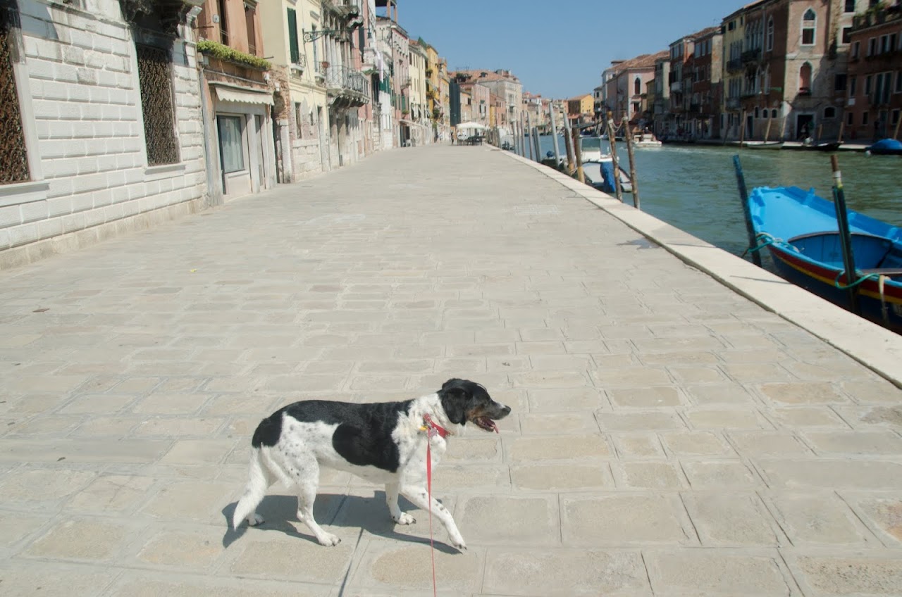 Abby in Venice