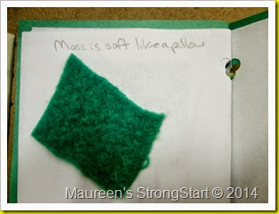IMG_2411 IMG_2411