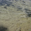 dsc04101.jpg