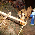 presepe e albero della fam. Bentivegna-Tutino