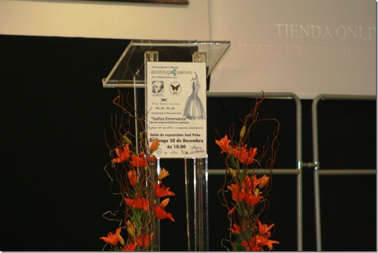 IMG_0501 IMG_0501