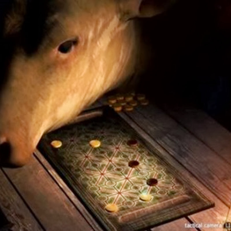 Die „unterbrechende Kuh“ ist mein liebster Assassin’s Creed IV Glitch