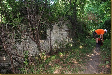 Castellina Castellina