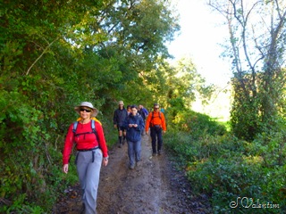 [P1180805%255B4%255D.jpg]