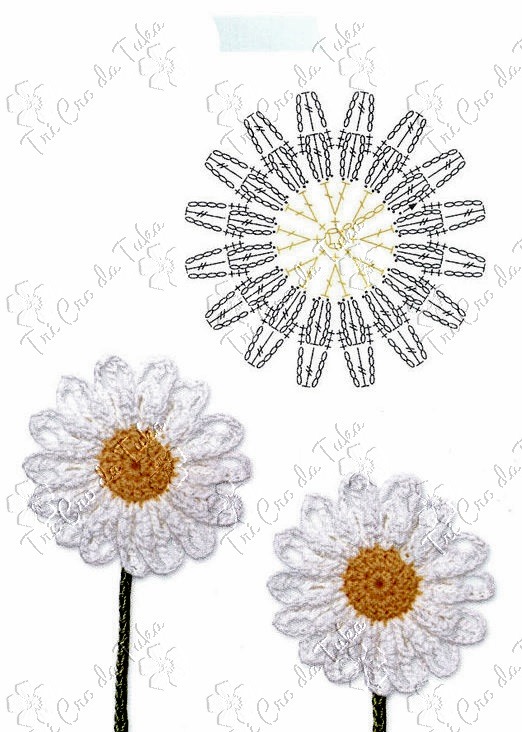 [PADR%25C3%2583O%2520F%255B4%255D.jpg]