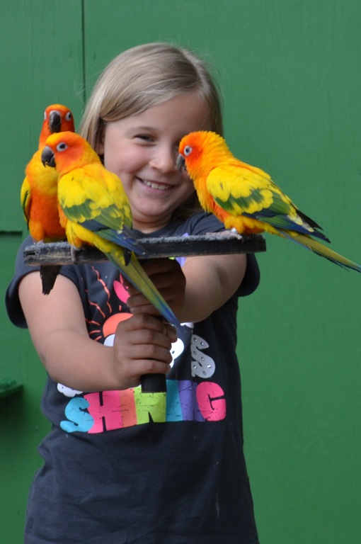 [DSC_0815%255B3%255D.jpg]