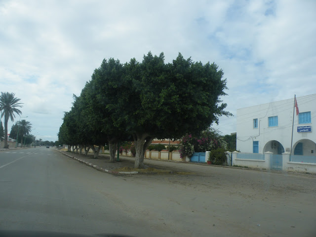 Tunesien2009-0465.JPG