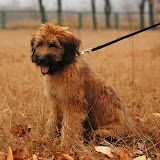 Abi - DSC_0343.jpg