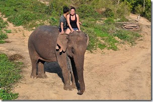 Laos Luang Prabang Elephant camp 140201_0195