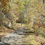 DSCF9344.JPG