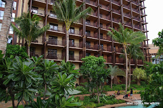 IMGP8261 - Copy.JPG