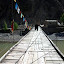 dongwang09.jpg