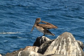 IMG_9680 IMG_9680