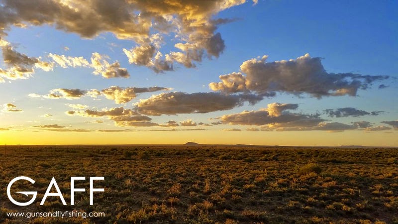 karoo (2).jpg