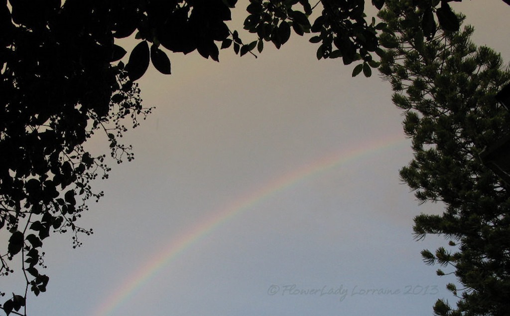 [07-03-morning-rainbow%255B6%255D.jpg]
