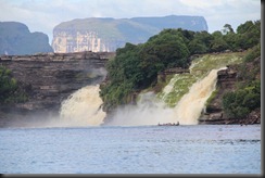 AF - Canaima wf close up