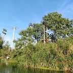 IMG_8063.JPG