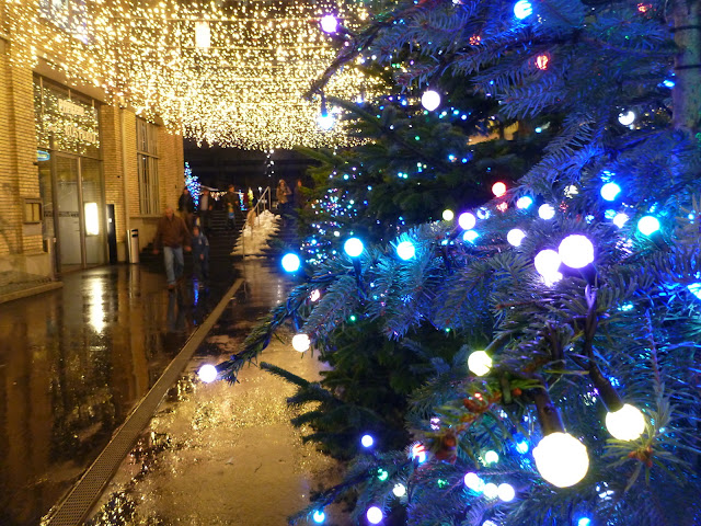 P1000266.JPG