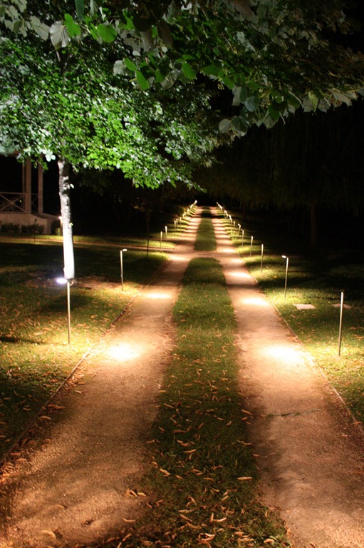 [IMG_64124.jpg]