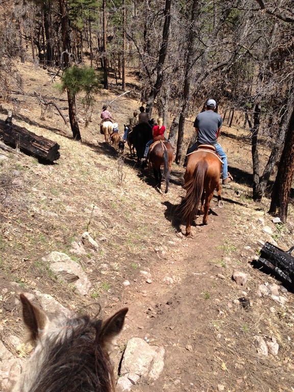 [iphone-stray-horse-032.jpg]
