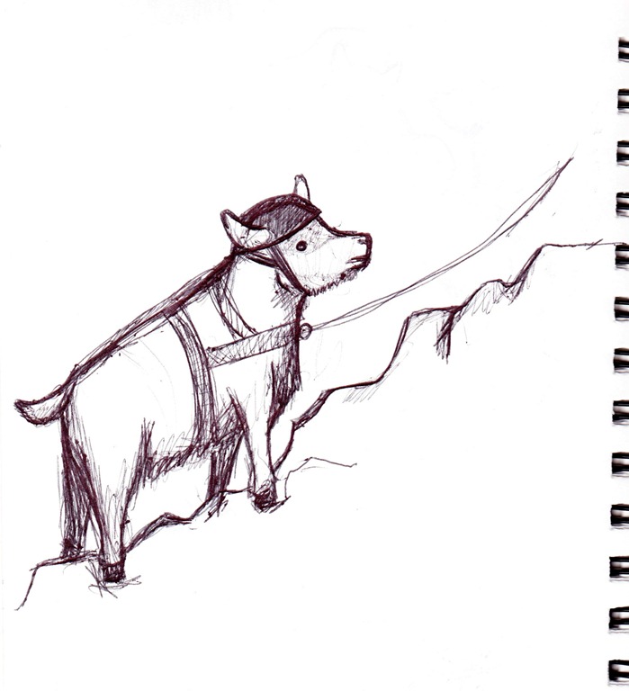 [goat-sketch-2%255B3%255D.jpg]