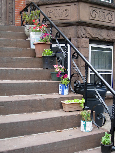 The Greenest Block in Brooklyn contest wants residents to garden, no matter what their income level, so they encourage creative and repurposed containers like these...