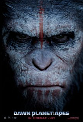 apes apes