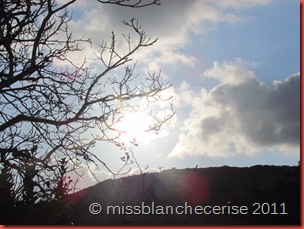 IMG_3217 IMG_3217