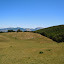 Onda D'urto Saracena