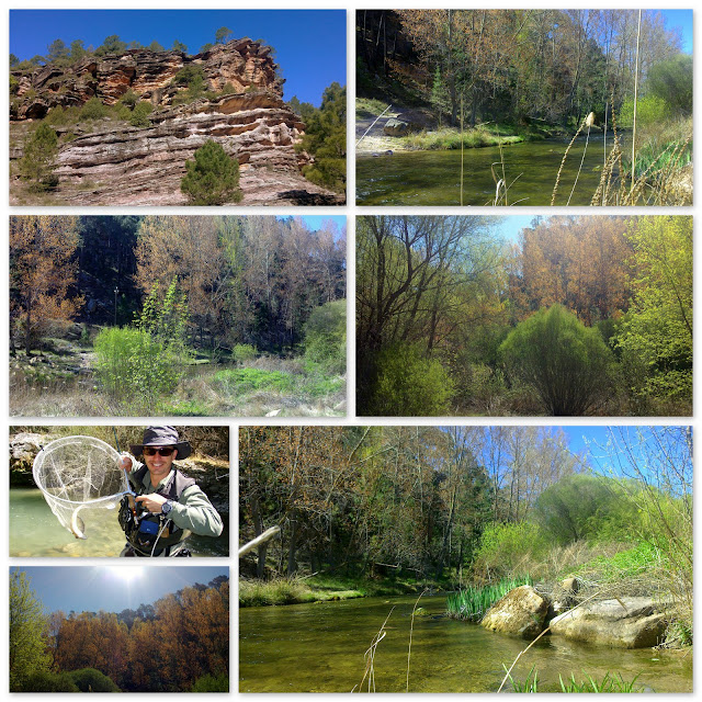 Tabla de agua en el coto de Cristinas, río Cabriel15 de mayo del 2012, Serranía de Cuenca
