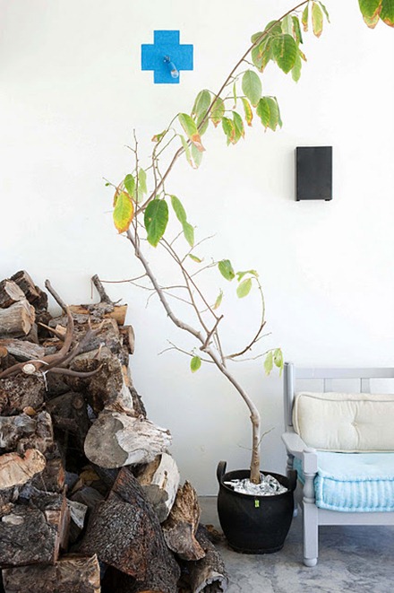 Träd inomhus, AnoukB Interior