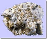 estano[1]