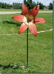 8478 Saskatchewan Trans-Canada Highway 1 Indian Head - prairie lily 8478 Saskatchewan Trans-Canada Highway 1 Indian Head - prairie lily