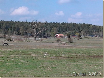 2013-05-12 11.32.32