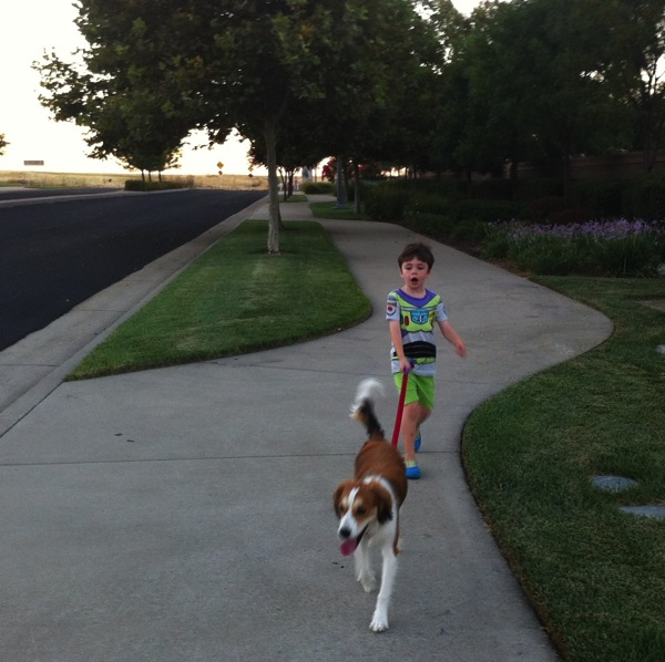 dogwalk.jpg Dogwalk