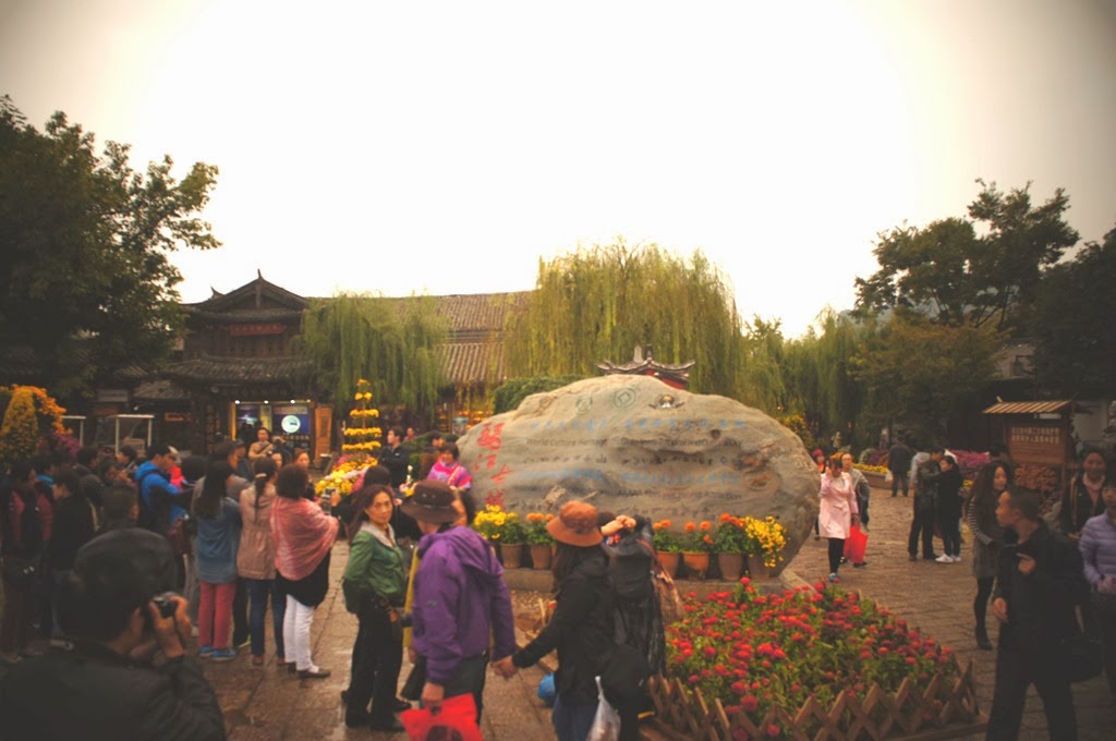 [DSC06908%255B10%255D.jpg]