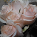 View album
