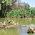 IMG_7763.JPG