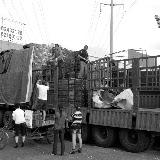 Shanghai - Marché poisson - Déchargement du camion
